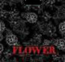 Flover черный 38*48(50) ПВД 100/1000 "66"