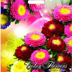Разноцветные цветы 38х45+3 (60) ПВД ламинированные "46"