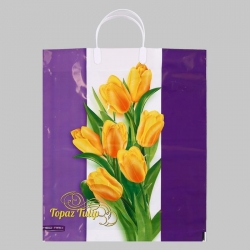 Пакет с пластмассовыми ручками "Нежные тюльпаны" 38х44 см. "87"