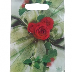 Пакет вырубная ручка 20*30 РОЗЫ